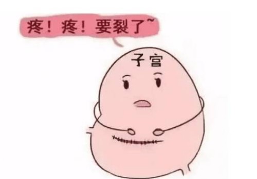 2023浙大二院试管婴儿全攻略，附生殖医生介绍