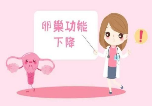 郑州试管婴儿一次多少钱？让你真正了解费用构成