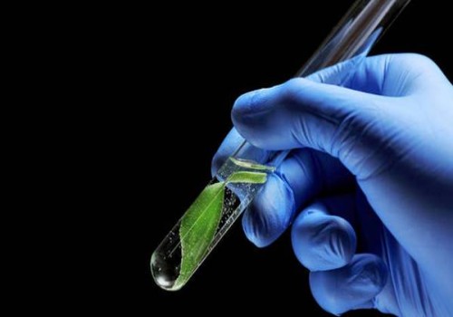 了解胎儿6号染色体重复情况，遗传一看便知！