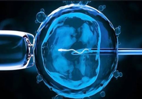 过来人分享二胎生女儿的秘诀，这五个生女儿的小秘籍记得收藏