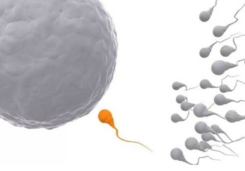 贵阳哪里做试管婴儿好,贵阳做试管婴儿如何选择